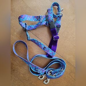 Vibrant Plaid Dog Harness and Leash Set
